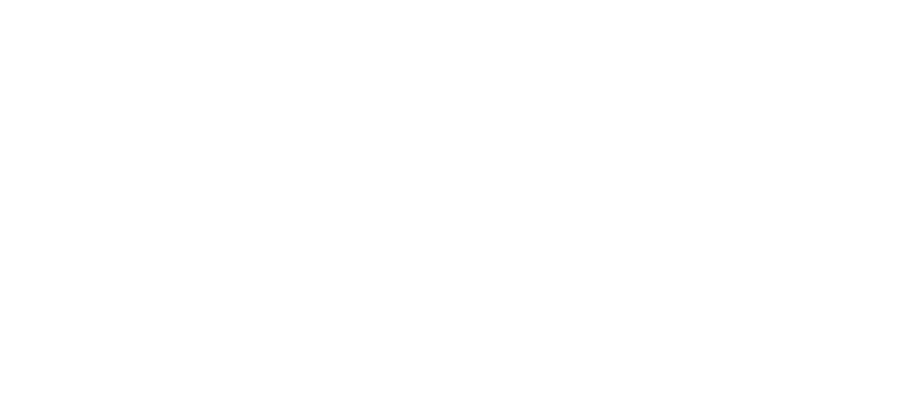 MVM Transformación Empresarial